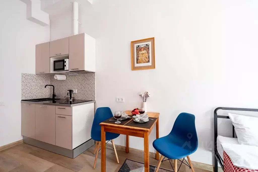 Студия Санкт-Петербург пер. Басков, 4 (20.0 м) - Фото 1