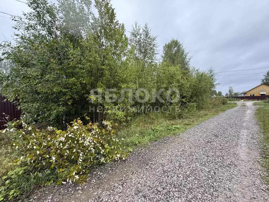 Участок в Пермский край, Березники пер. Красивый, 12 (14.4 сот.) - Фото 1