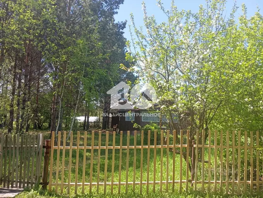 Дом в Новосибирская область, Мошковский район, Сосновское СНТ  (70 м) - Фото 0