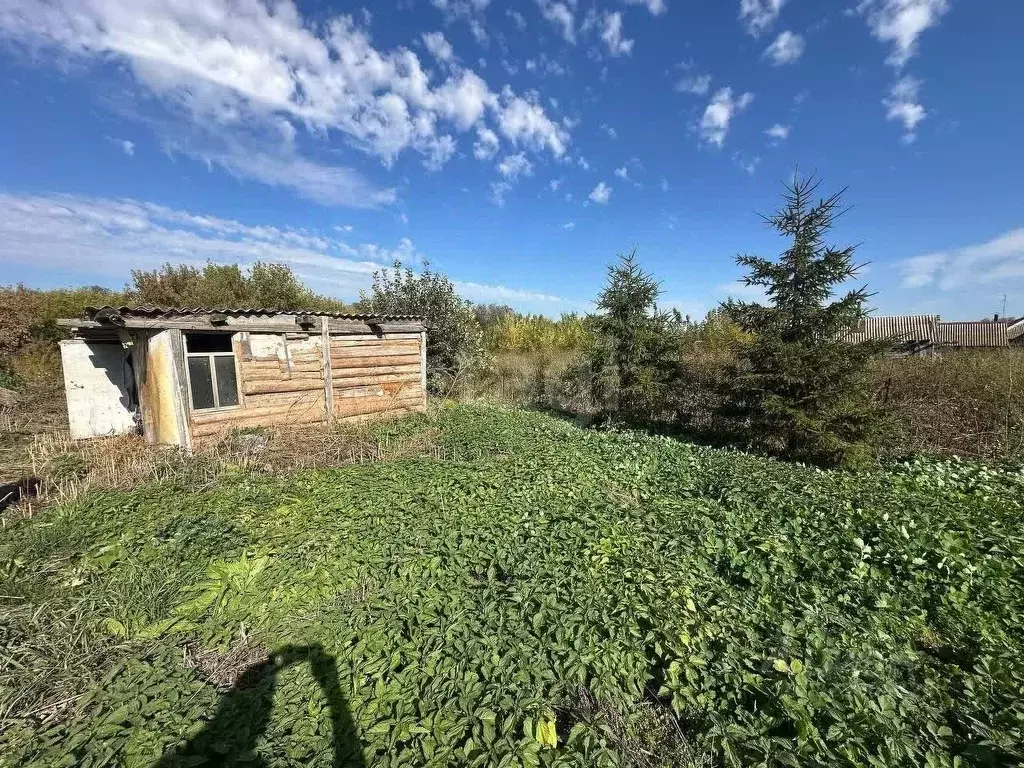 Участок в Башкортостан, Стерлитамакский район, Рязановский сельсовет, ... - Фото 1
