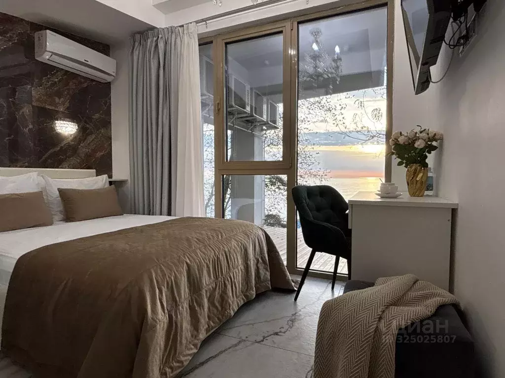 1-к кв. Краснодарский край, Сочи Центральный мкр, пер. Морской, 1к1 ... - Фото 1