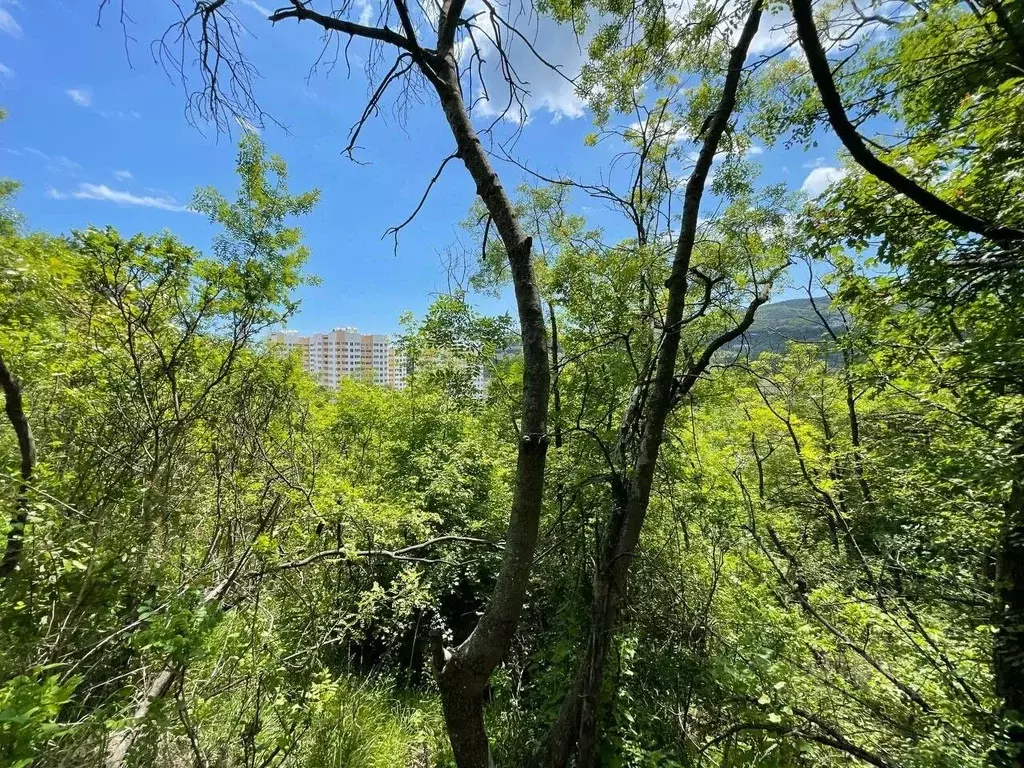 Участок в Крым, Ялта  (8.8 сот.) - Фото 1