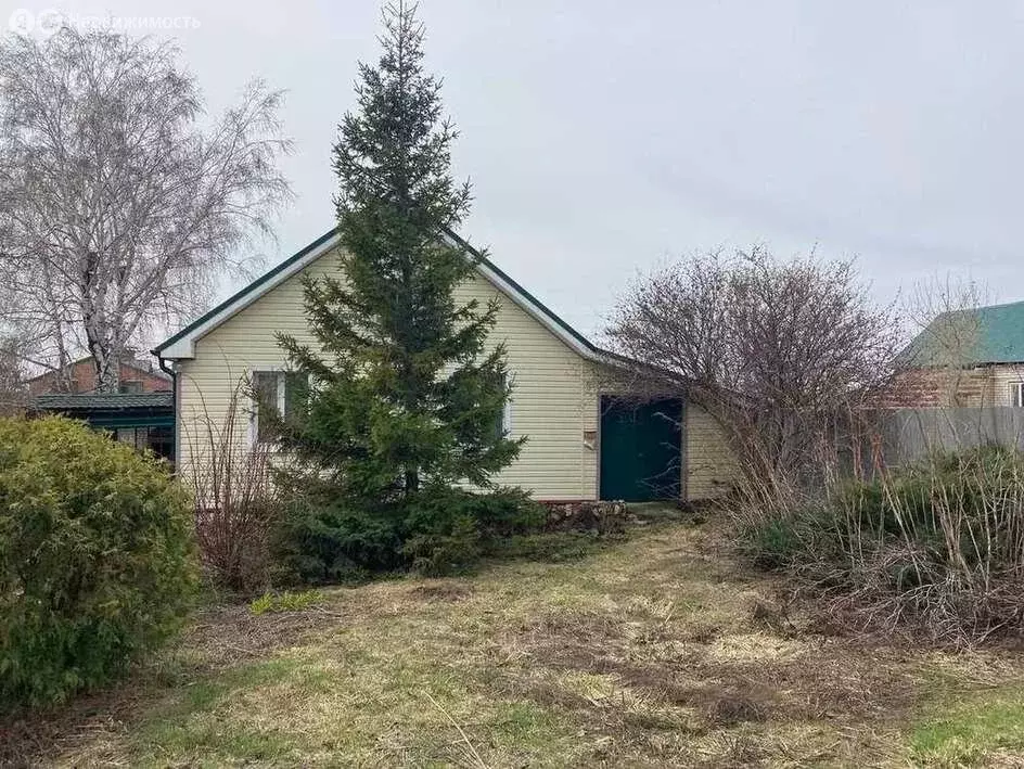 Дом в село Брусяны, Советская улица, 67 (97 м) - Фото 1