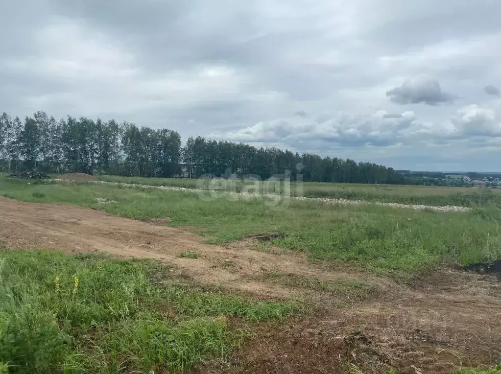 Участок в Башкортостан, Кармаскалинский район, Кабаковский сельсовет, ... - Фото 1