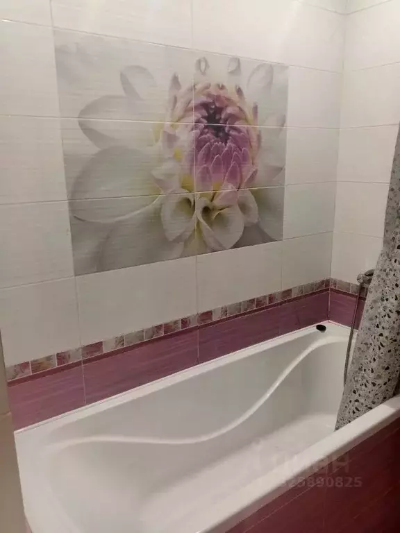 Студия Краснодарский край, Сочи Виноградная ул., 188А (40.0 м) - Фото 2