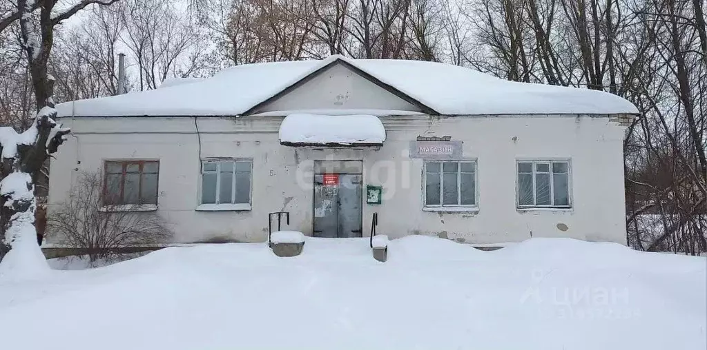 Офис в Владимирская область, Муром д. Прудищи, ул. Заречная, 6А (160 ... - Фото 1