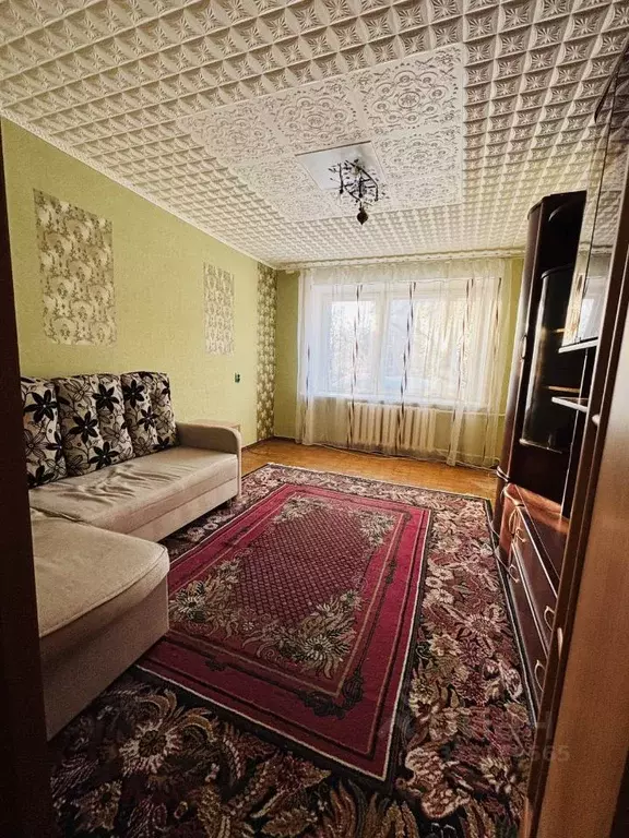 2-к кв. Московская область, Дмитровский муниципальный округ, пос. Дома ... - Фото 2