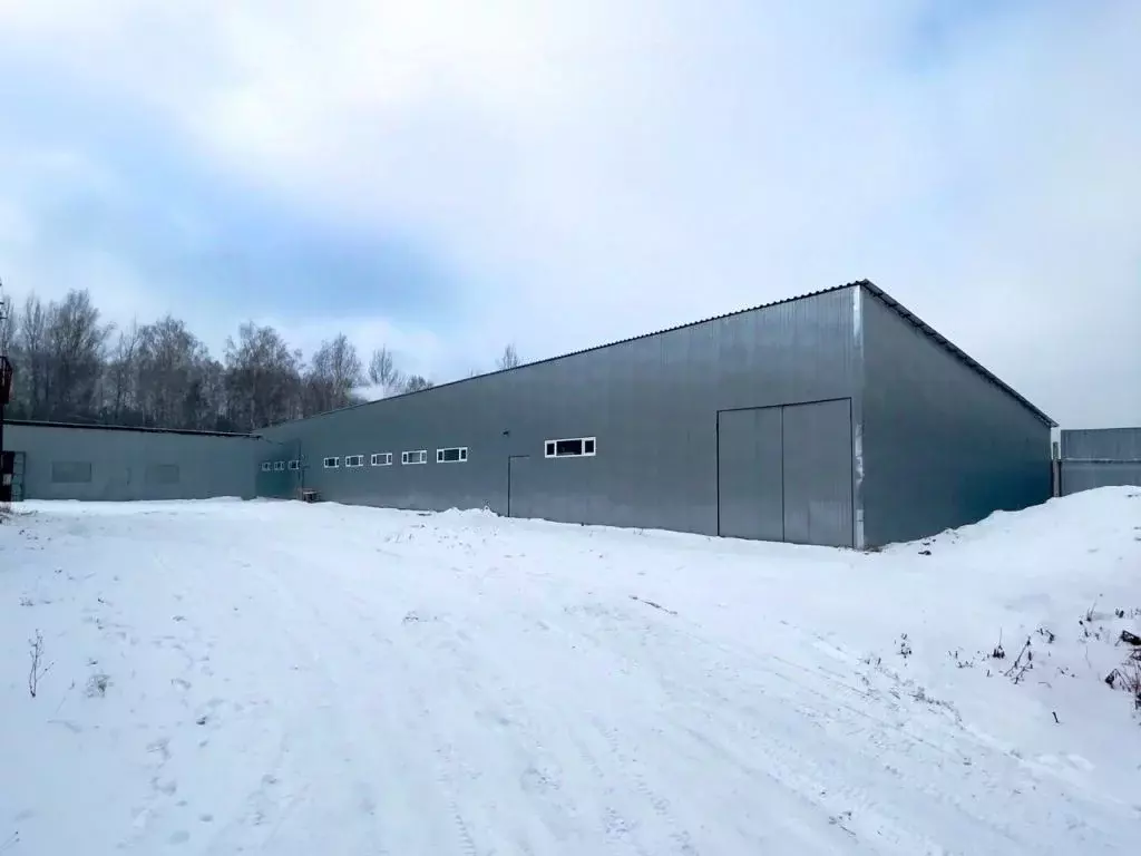 Производственное помещение в Нижегородская область, Володарский ... - Фото 1