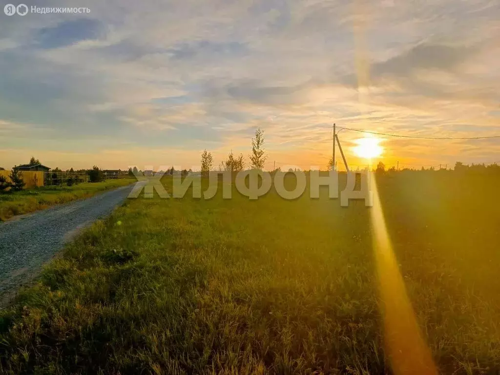 Участок в Новосибирская область, Коченёвский муниципальный район, СНТ ... - Фото 0
