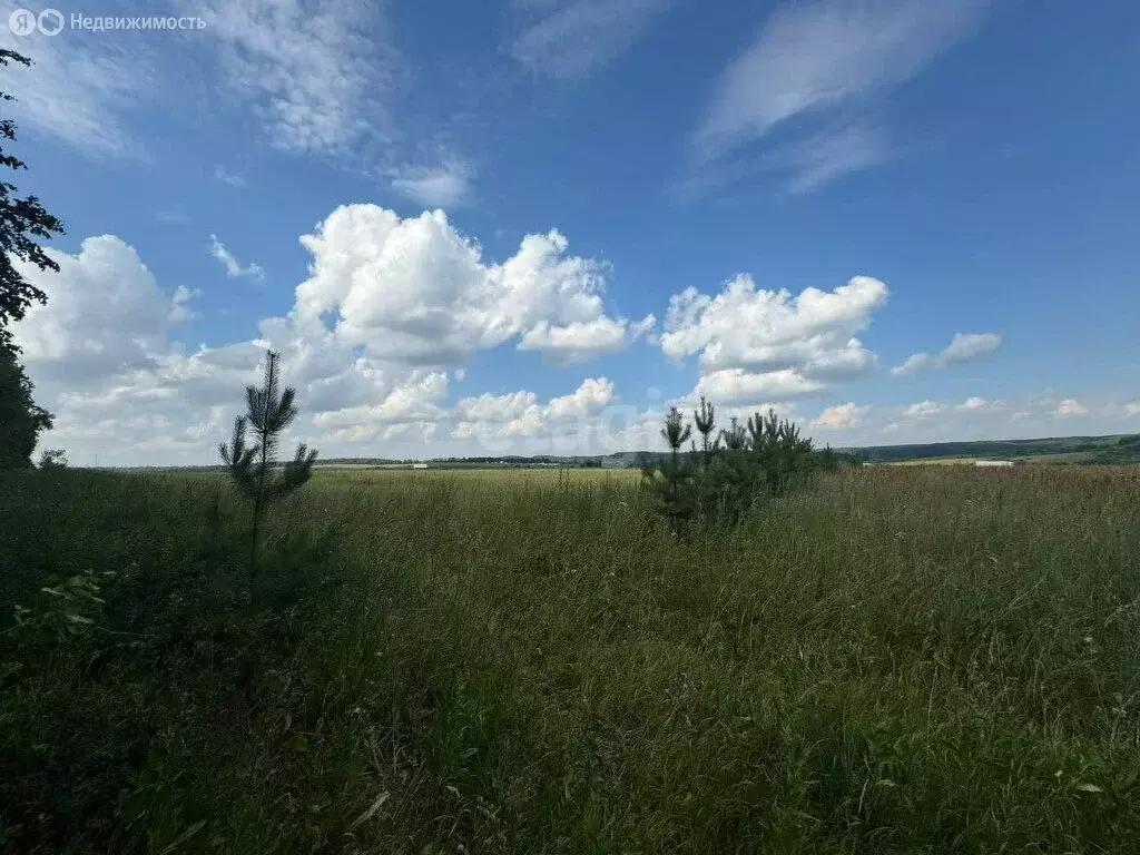 Участок в село Пензятка, Луговая улица (15.2 м) - Фото 1