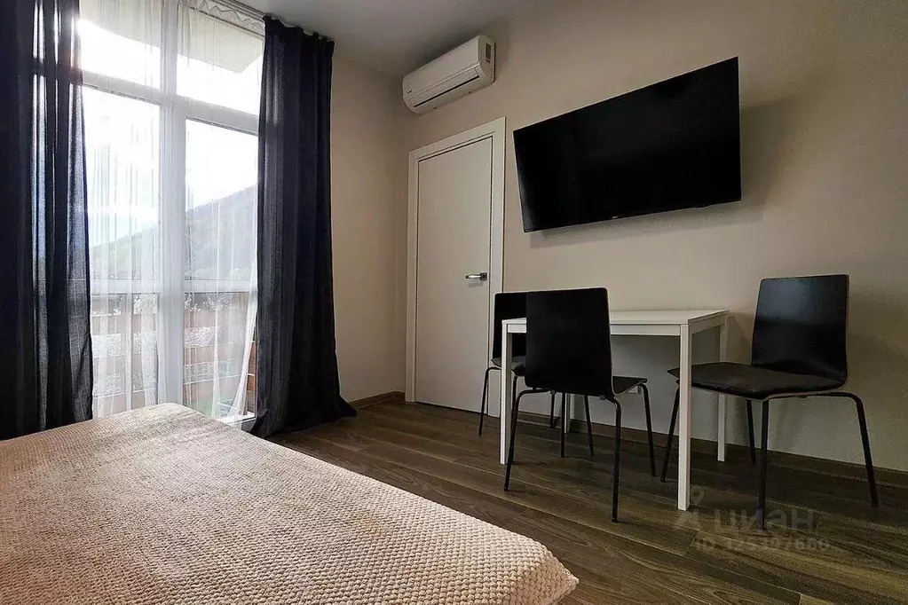 2-к кв. Краснодарский край, Сочи Красная Поляна пгт, ул. ... - Фото 2