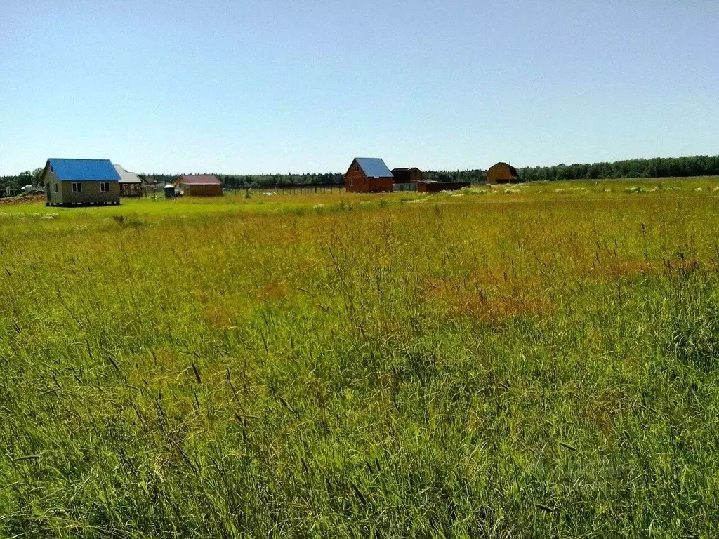 Участок в Владимирская область, Кольчугинский район, Ильинское ... - Фото 1