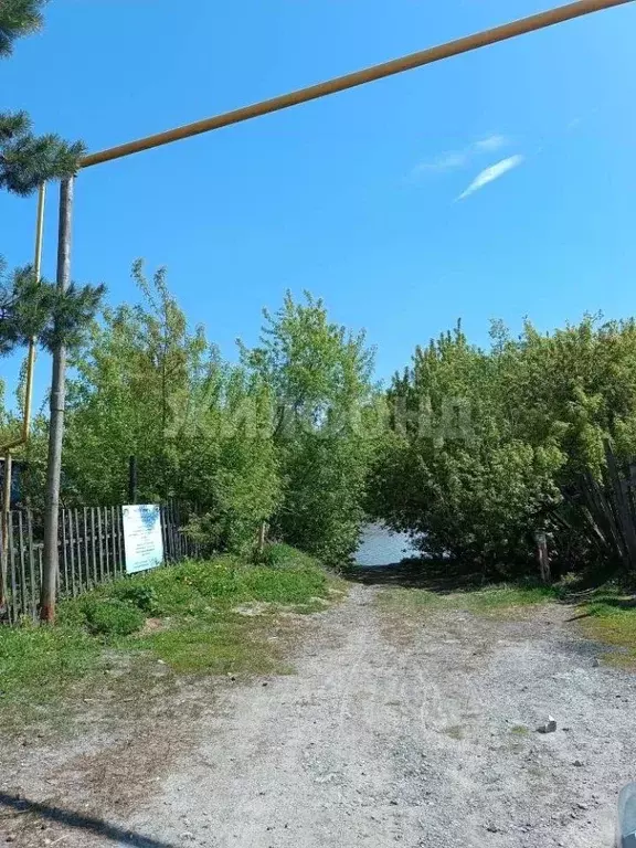 Дом в Новосибирская область, Новосибирск 3-я Шоссейная ул. (36 м) - Фото 2