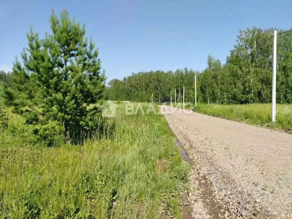 Участок в Новосибирская область, Новосибирский район, Станционный ... - Фото 0