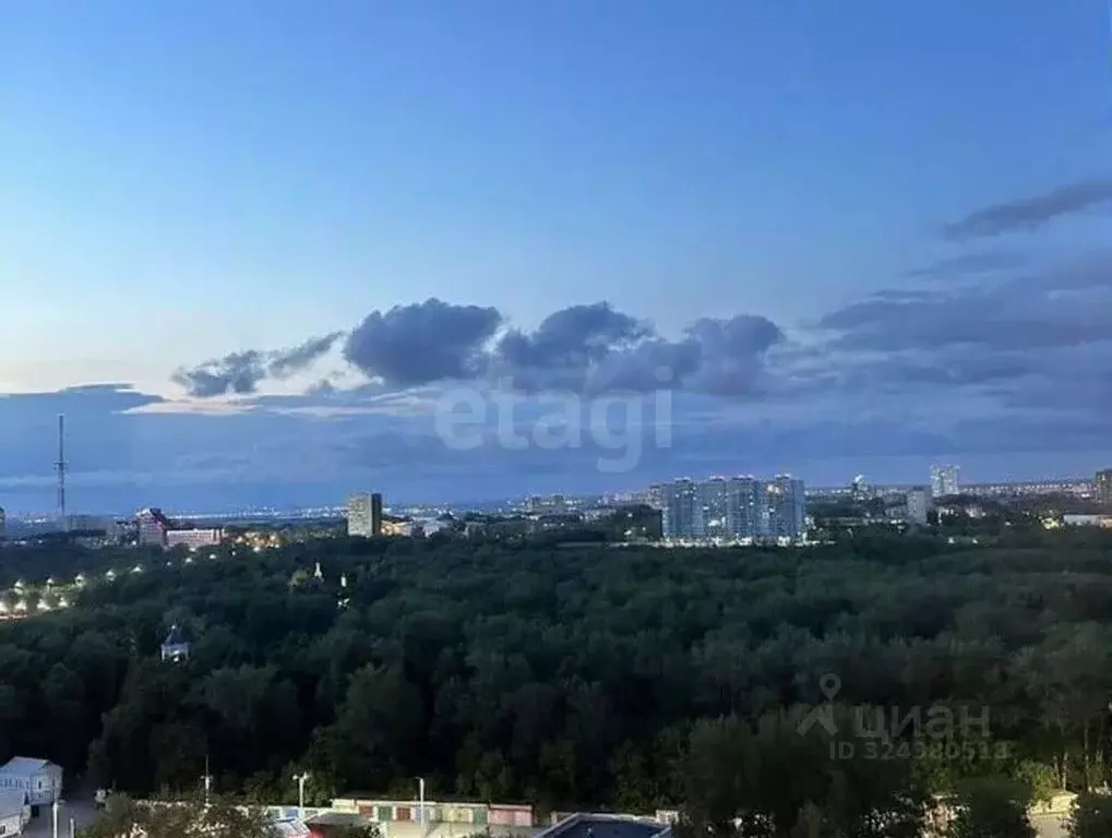 2-к кв. Пермский край, Пермь ул. Николая Островского, 52 (82.0 м) - Фото 2