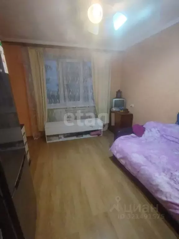 2-к кв. Псковская область, Псковский район, Писковичская волость, д. ... - Фото 2