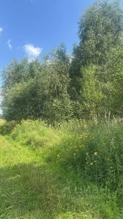 Участок в Московская область, Ступино городской округ, д. Канищево ул. ... - Фото 1