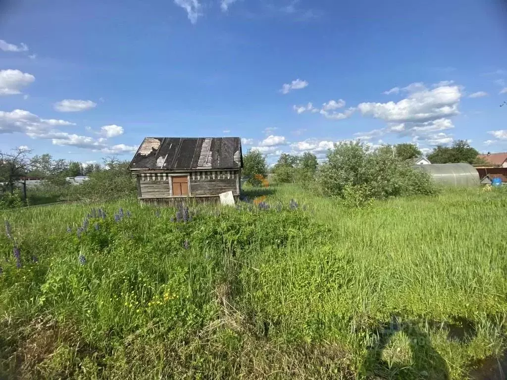 Участок в Новгородская область, Новгородский район, Ермолинское с/пос, ... - Фото 1