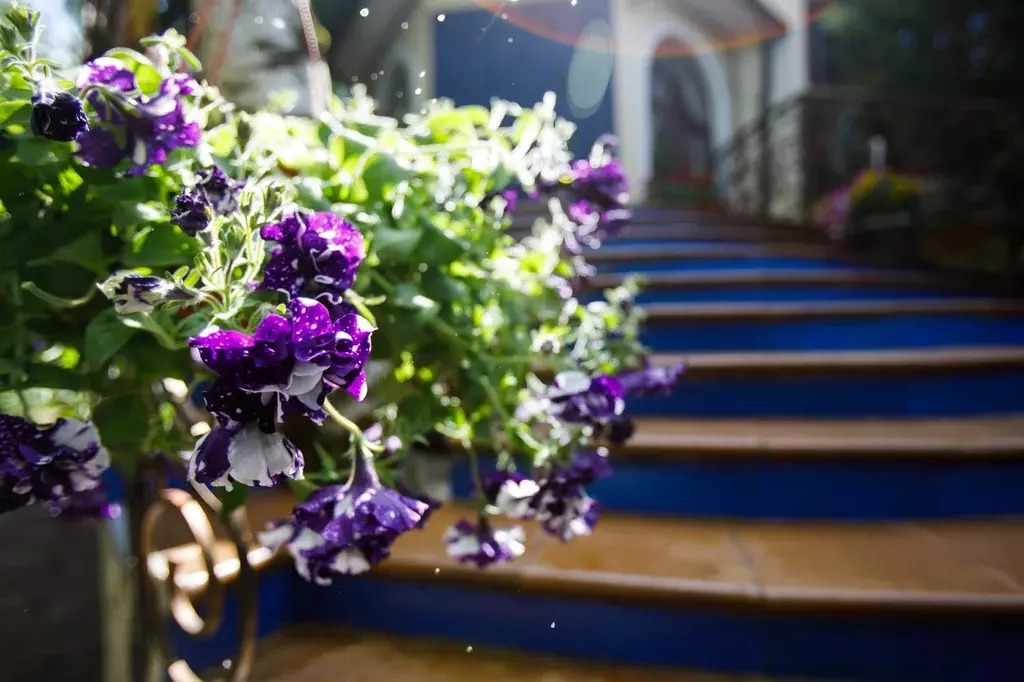 Продается коттедж в СНТ Люгер - Фото 1