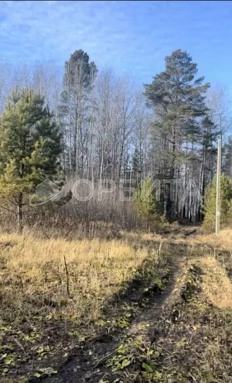 Участок в Тюменская область, Нижнетавдинский муниципальный округ, д. ... - Фото 1