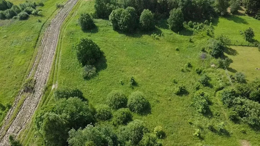 Участок в Московская область, Волоколамский муниципальный округ, д. ... - Фото 1