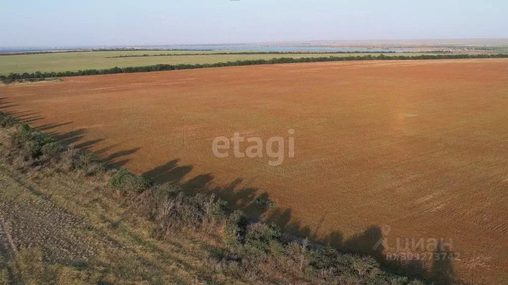 Участок в Крым, Черноморский район, с. Новосельское ул. Ленина (100.0 ... - Фото 0