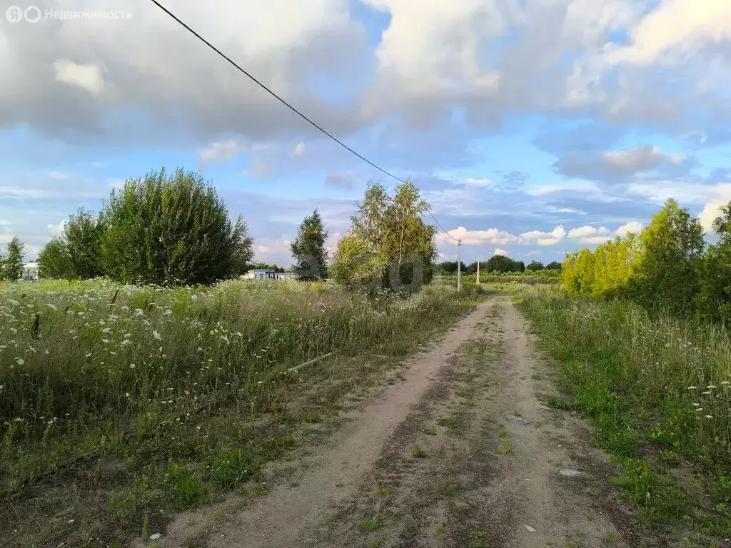 Участок в Калининградская область, Гурьевский муниципальный округ, ... - Фото 2