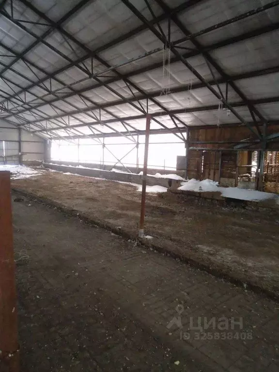 Производственное помещение в Белгородская область, Белгородский район, ... - Фото 1