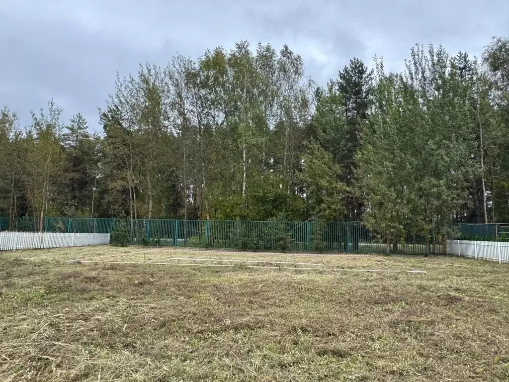 Участок в Тверская область, Конаковский муниципальный округ, д. ... - Фото 2