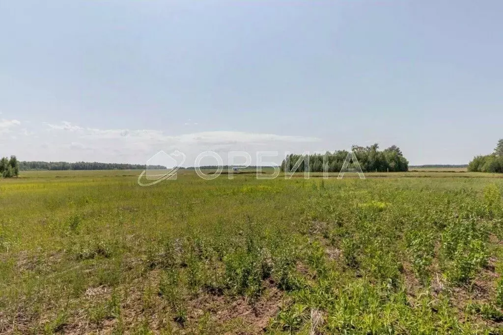 Участок в Тюменская область, Исетский муниципальный округ, д. Ботники  ... - Фото 2