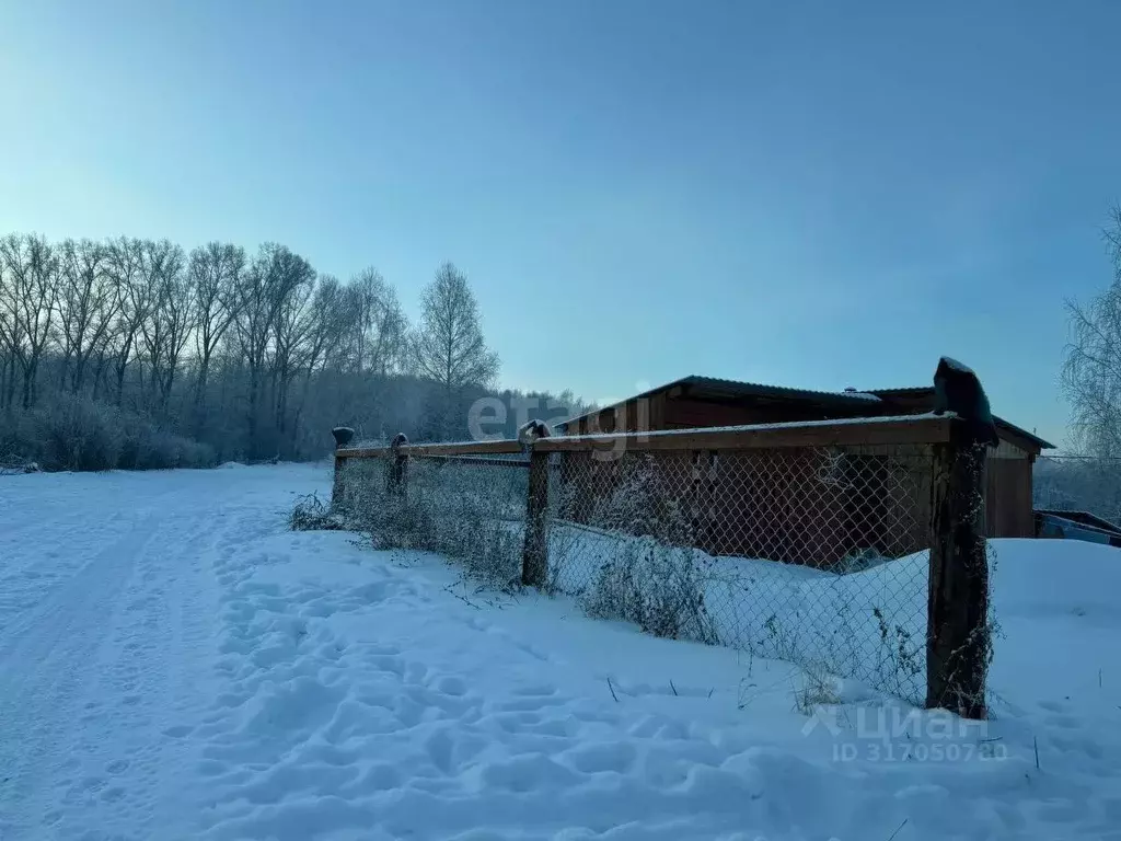 Участок в Алтай, Горно-Алтайск Вишенка СНТ, 48 (6.0 сот.) - Фото 0