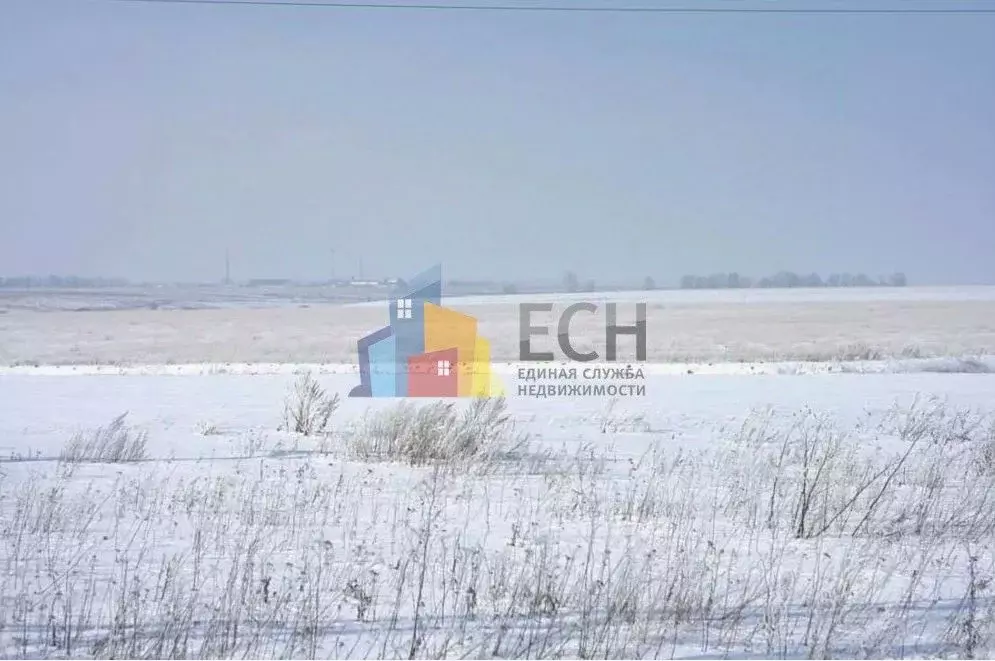 Участок в Тульская область, Алексинский район, д. Большие Пруды  ... - Фото 1