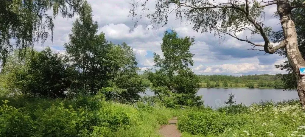 Участок в Тверская область, Тверь пос. Власьево,  (13.0 сот.) - Фото 1