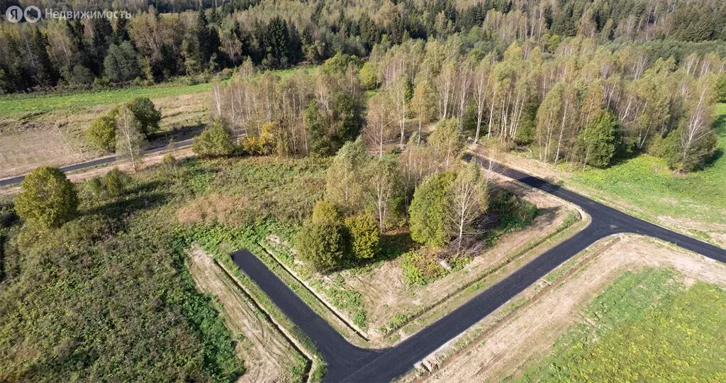 Участок в Московская область, Дмитровский муниципальный округ, посёлок ... - Фото 2