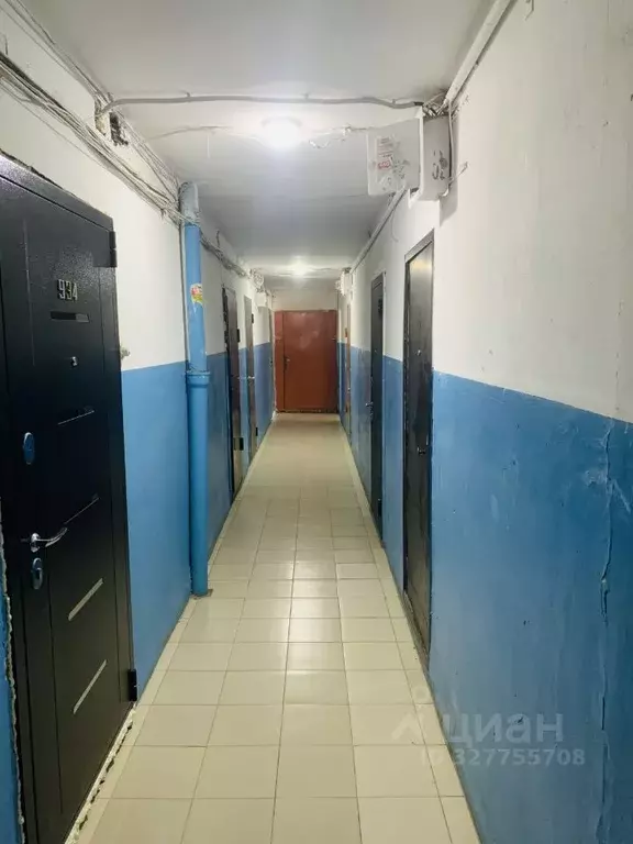 Студия Кемеровская область, Кемерово просп. Ленина, 135б (16.7 м) - Фото 1