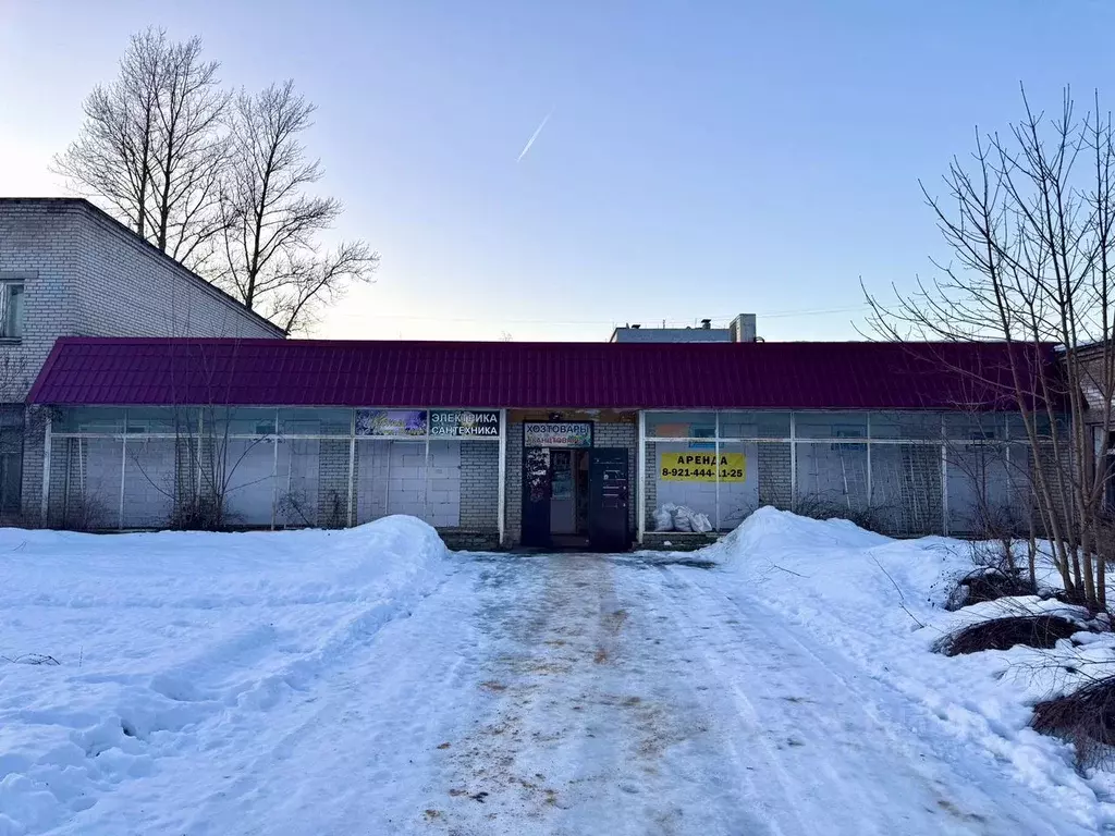 Помещение свободного назначения в Ленинградская область, Волосовский ... - Фото 1