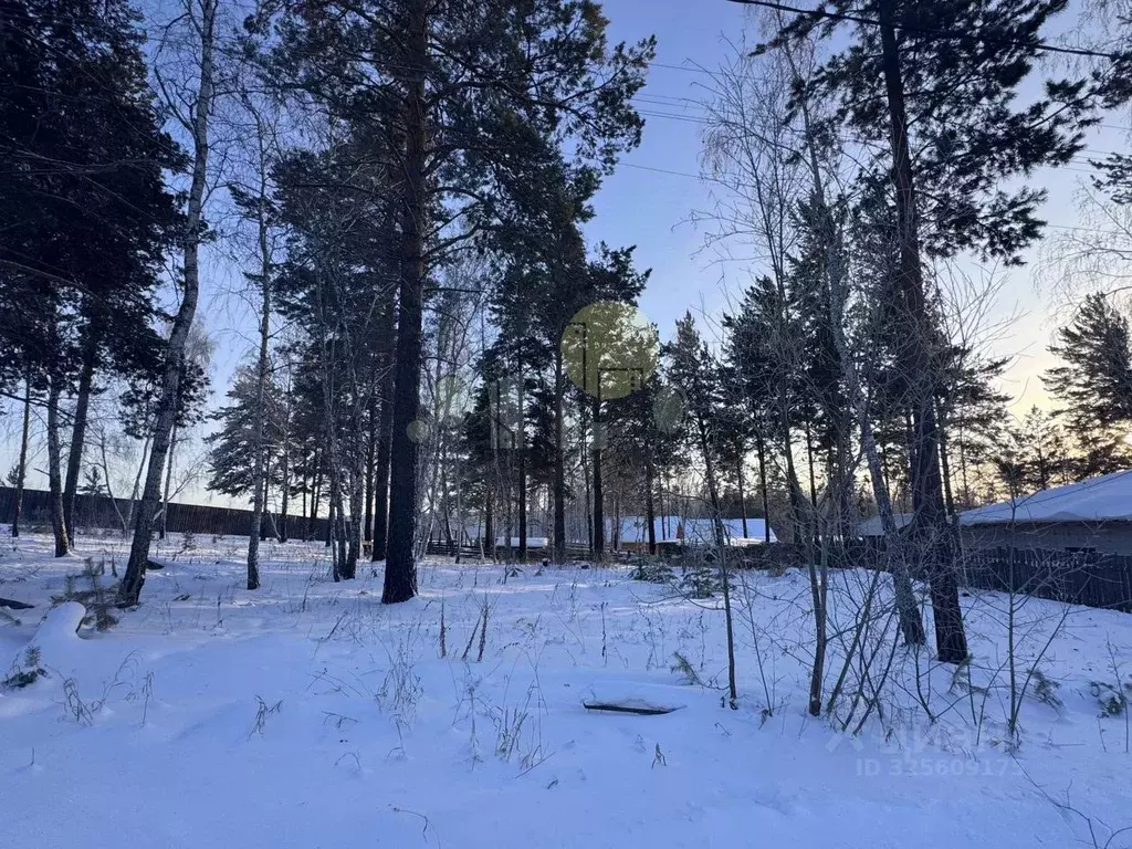 Участок в Иркутская область, Иркутский муниципальный округ, д. Карлук ... - Фото 2