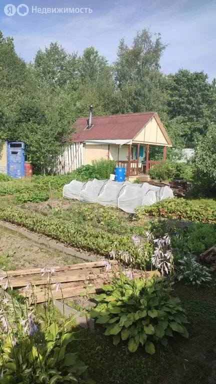 Дом в Волхов, садоводческое некоммерческое товарищество Труженик, ... - Фото 2