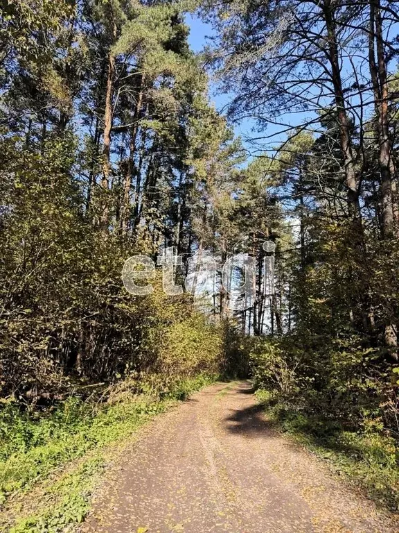 Участок в Калужская область, Бабынинский муниципальный округ, ... - Фото 2