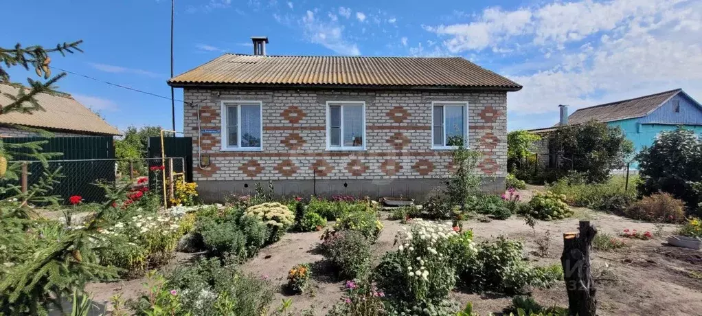 Дом в Воронежская область, Борисоглебский городской округ, с. Махровка ... - Фото 1