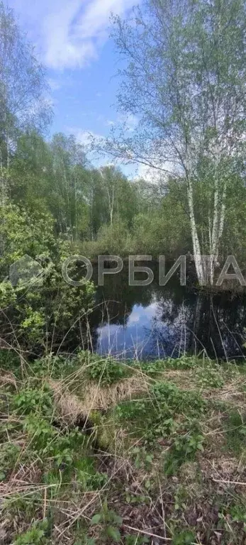 Участок в Тюменская область, Нижнетавдинский район, Фортуна СТ ул. ... - Фото 0