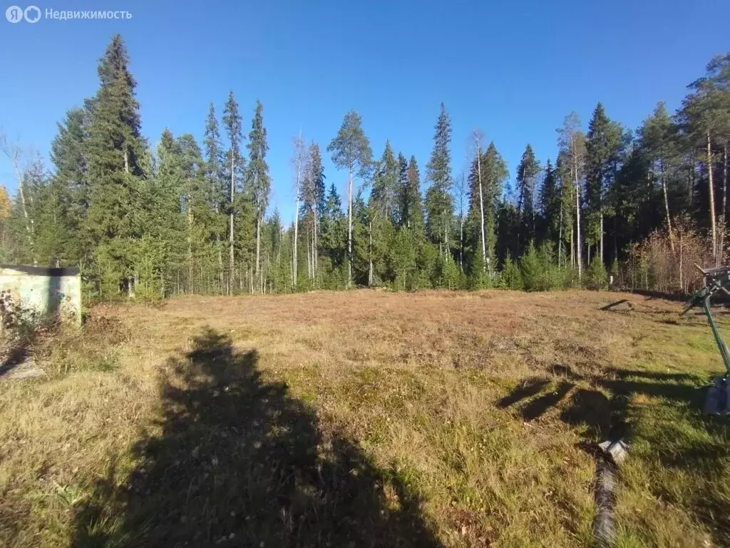 Участок в Республика Коми, муниципальный район Корткеросский, ... - Фото 1