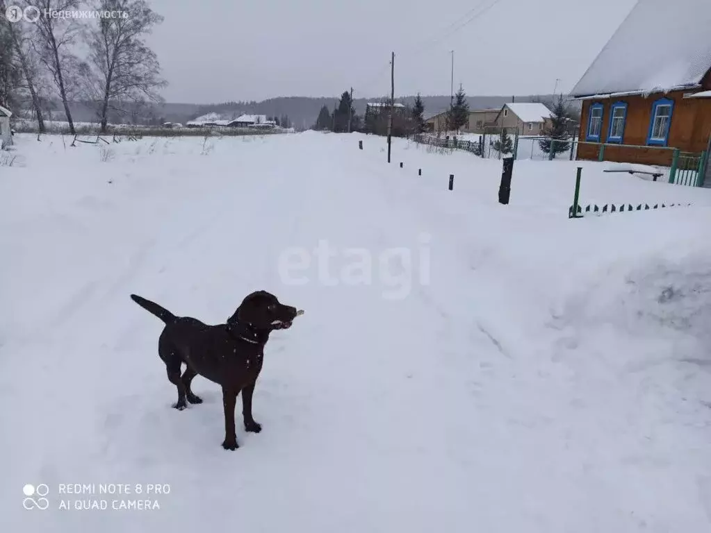 Участок в Тогучинский район, посёлок Пермский, Центральная улица (12 ... - Фото 2