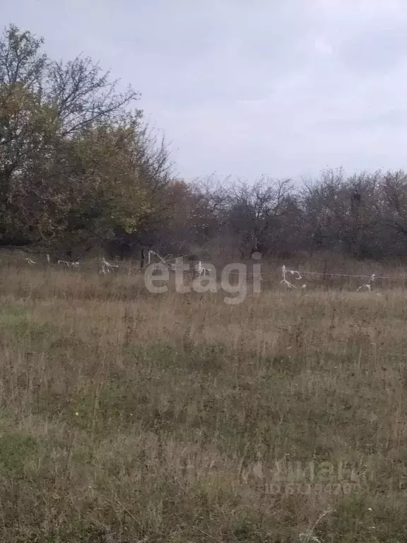 Участок в Мордовия, Лямбирский район, д. Суркино Молодежная ул. (12.0 ... - Фото 1