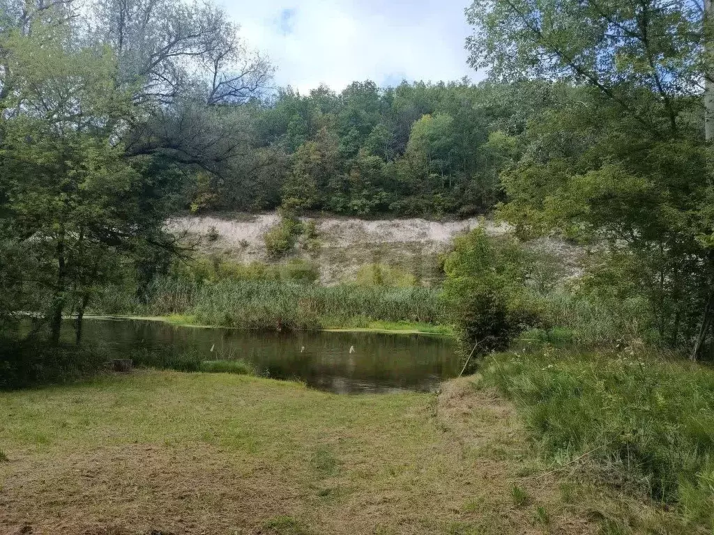 Участок в Белгородская область, Волоконовский район, Староивановское ... - Фото 2