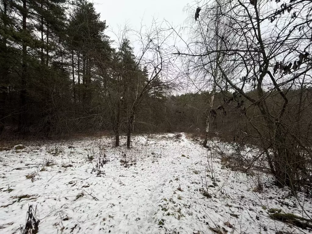 Участок в Владимирская область, Александровский муниципальный округ, ... - Фото 1