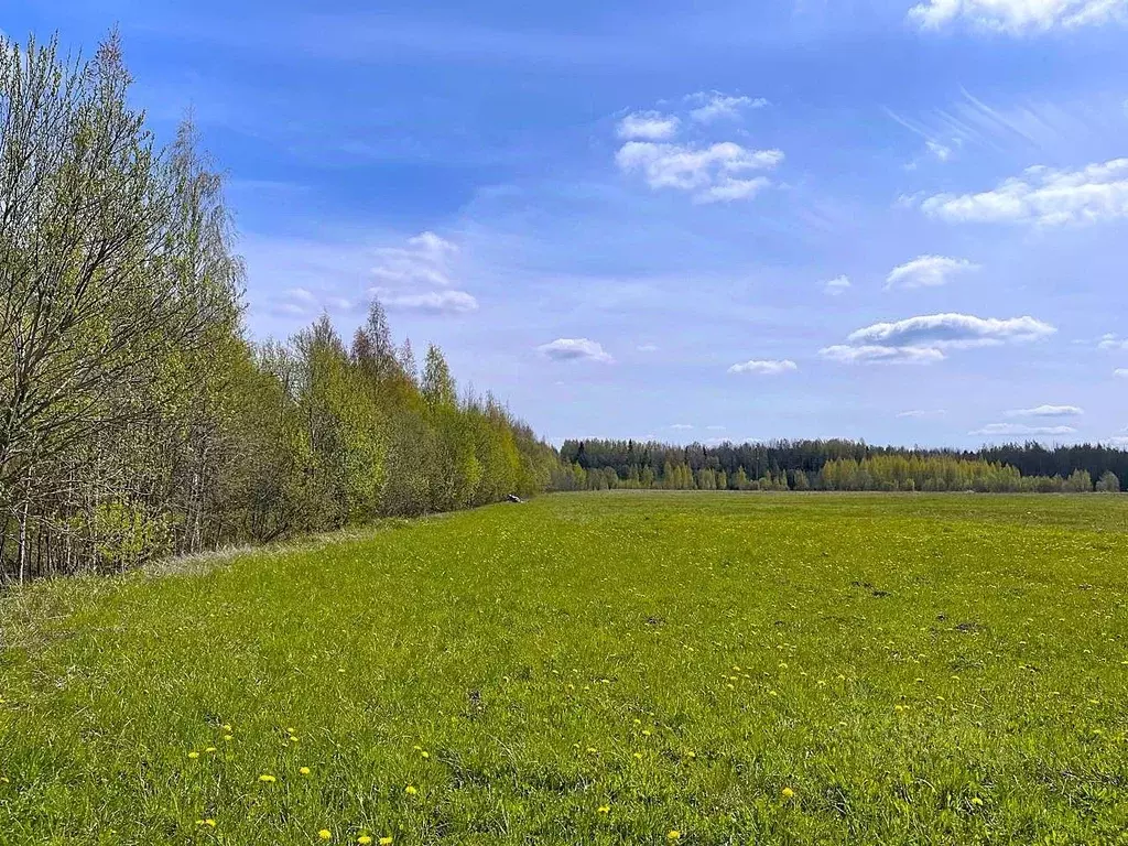 Участок в Ленинградская область, Всеволожский район, Рахьинское ... - Фото 2