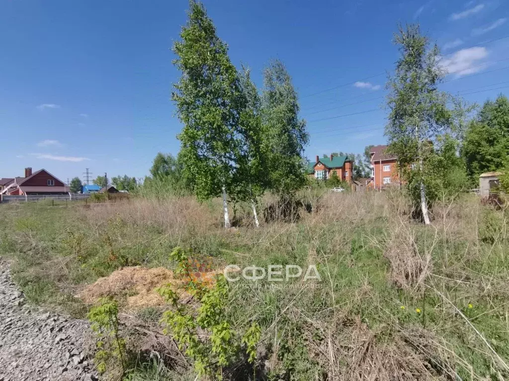 Участок в Новосибирская область, с. Новолуговое ул. Центральная (7.5 ... - Фото 2