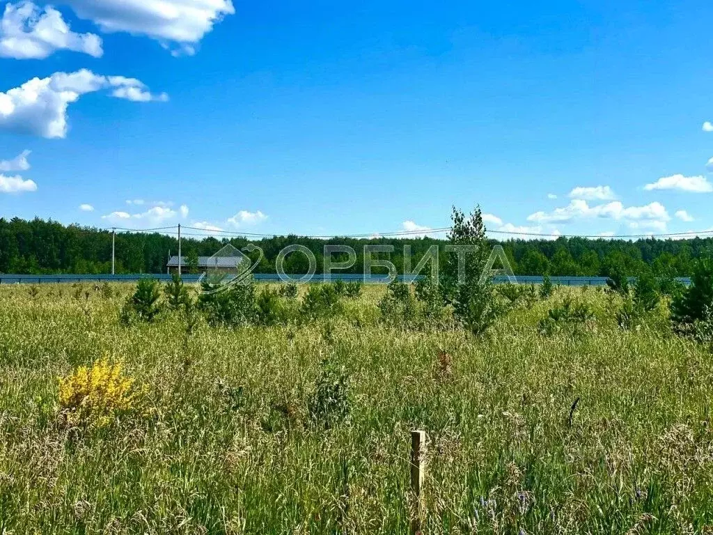 Участок в Тюменская область, Тюменский район, с. Кулига  (11.0 сот.) - Фото 0