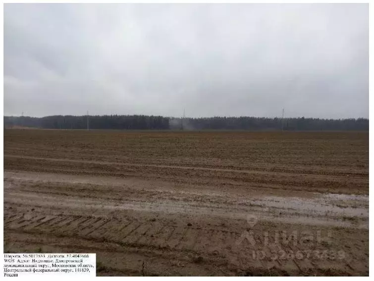 Участок в Московская область, Дмитровский муниципальный округ, д. ... - Фото 1